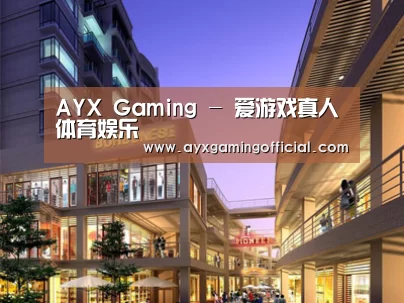 案例展示一(图1)