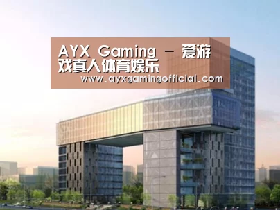 案例展示四