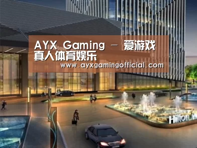 案例展示二