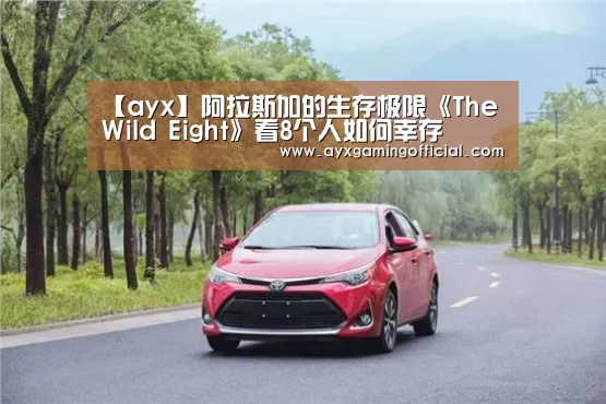 【ayx】阿拉斯加的生存极限《The Wild Eight》看8个人如何幸存(图1) 【ayx】阿拉斯加的生存极限《The Wild Eight》看8个人如何幸存(图1)