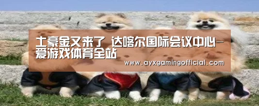 土豪金又来了 达喀尔国际会议中心-爱游戏体育全站(图4) 爱游戏体育