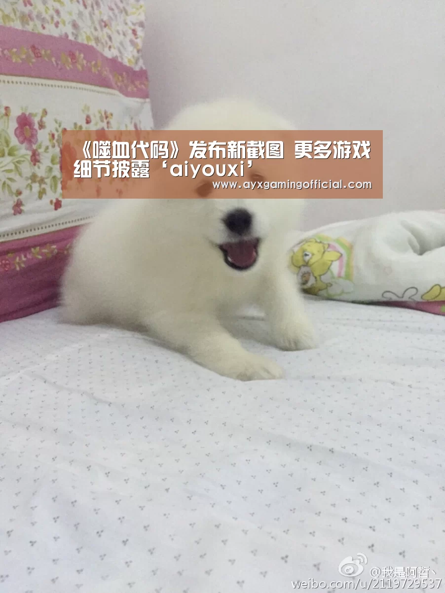 《噬血代码》发布新截图 更多游戏细节披露‘aiyouxi’(图2)