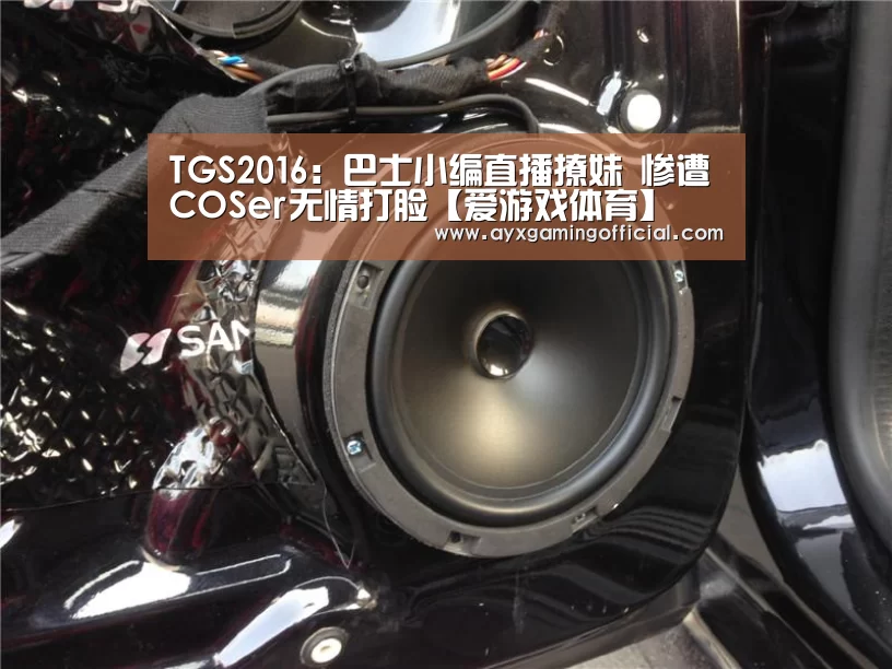 TGS2016：巴士小编直播撩妹 惨遭COSer无情打脸【爱游戏体育】(图2)