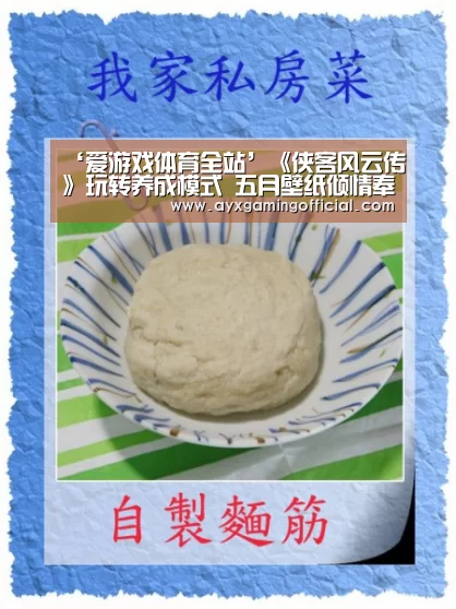 爱游戏体育全站