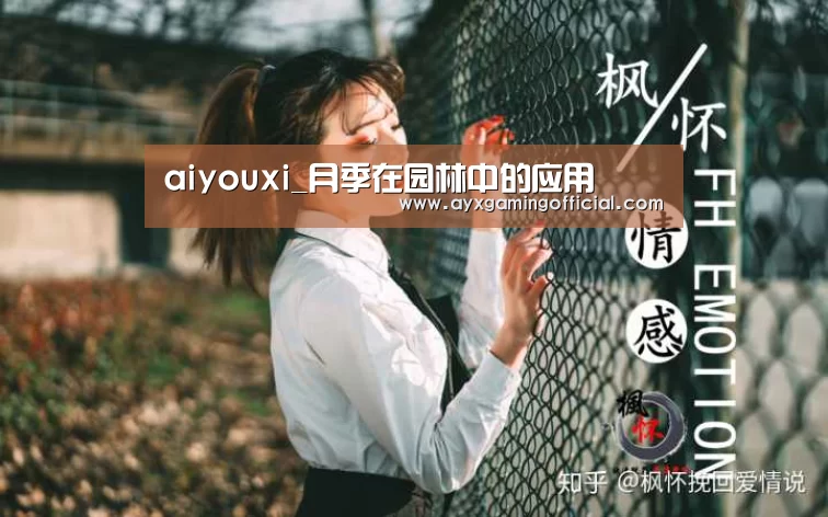 aiyouxi_月季在园林中的应用(图1)