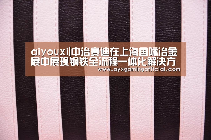 aiyouxi|中治赛迪在上海国际冶金展中展现钢铁全流程一体化解决方案(图2) 爱游戏体育全站
