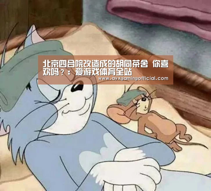 北京四合院改造成的胡同茶舍 你喜欢吗?:爱游戏体育全站(图3) 爱游戏体育