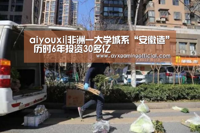aiyouxi|非洲一大学城系“安徽造” 历时6年投资30多亿(图4) 爱游戏体育全站
