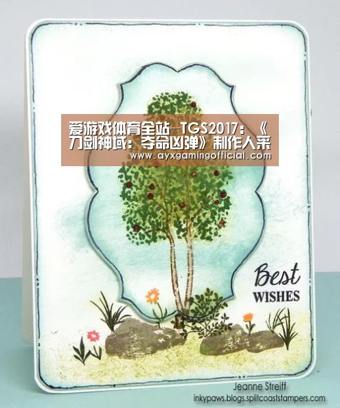 爱游戏体育全站-TGS2017:《刀剑神域:夺命凶弹》制作人采访(图2) 爱游戏体育全站