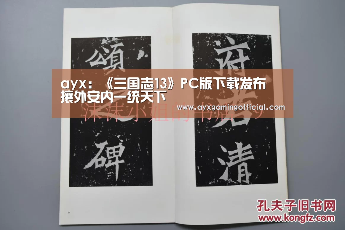 ayx:《三国志13》PC版下载发布 攘外安内一统天下(图3) ayx:《三国志13》PC版下载发布 攘外安内一统天下(图3)