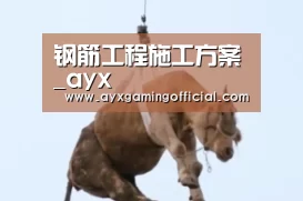 钢筋工程施工方案_ayx(图4) 钢筋工程施工方案_ayx(图4)