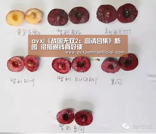 爱游戏体育